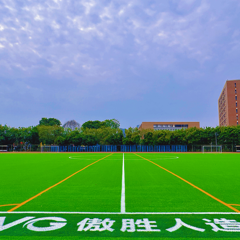 广东外语外贸大学