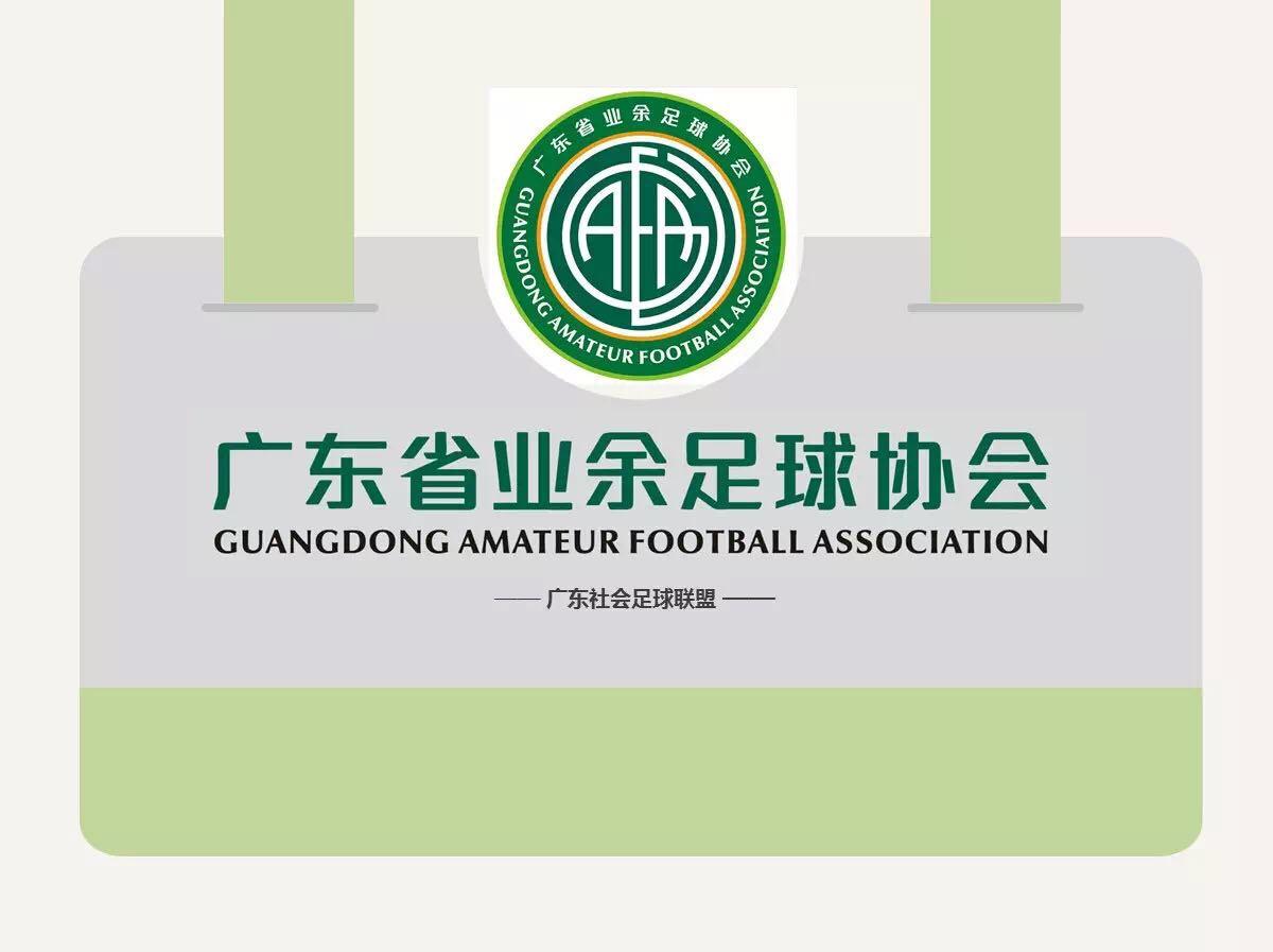 热烈祝贺AVG傲胜股份荣膺广东省业余足球协会会长单位并授牌