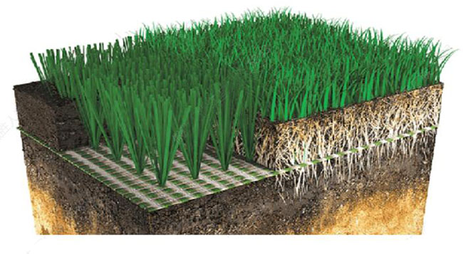 顶级球场最佳选择-人造草+天然草混合系统