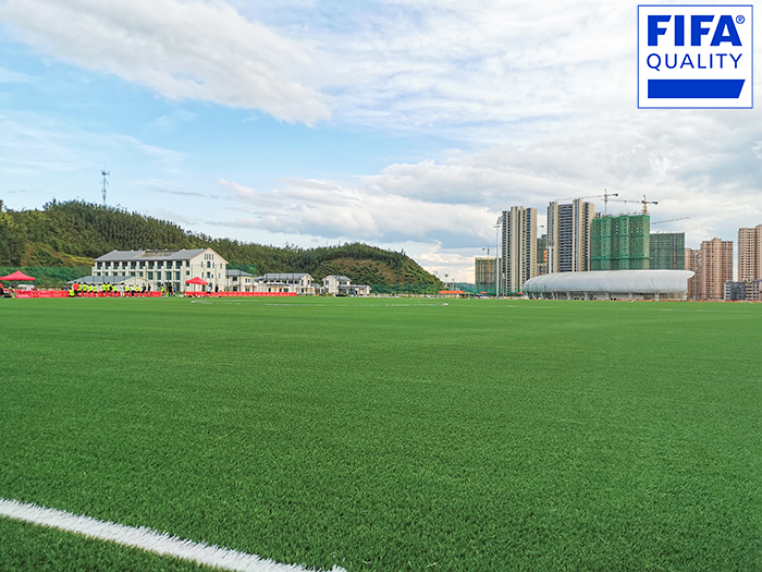 喜讯 | 江西定南国家训练基地获FIFA国际足联场地认证！