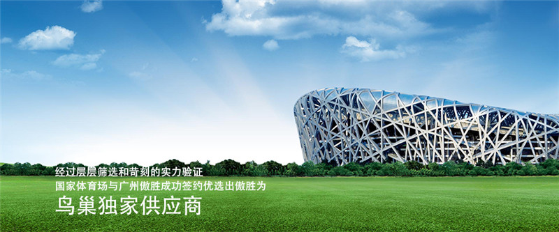 国家体育场.jpg 国家体育场.jpg