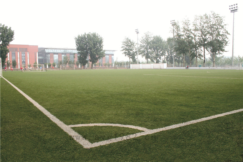 北京体育大学 北京体育大学