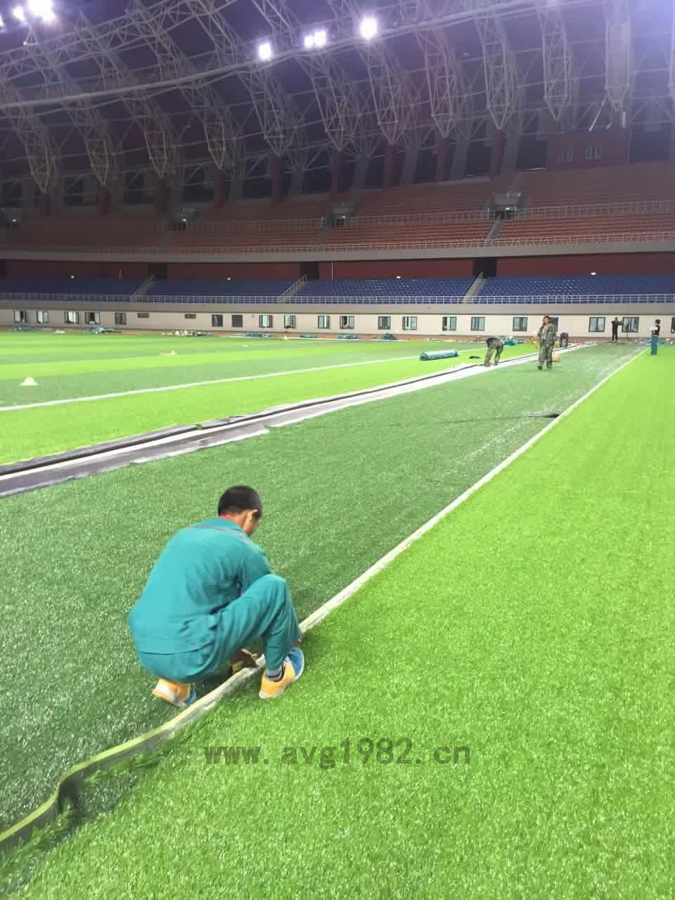 拉萨体育中心 拉萨体育中心
