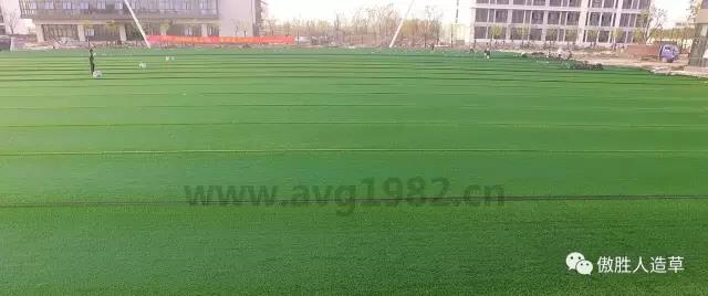 橄榄场地施工流程4 橄榄场地施工流程4