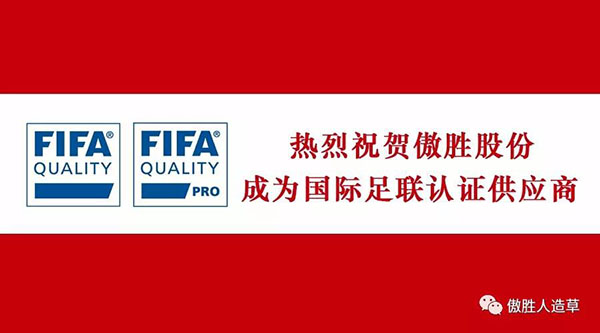 FIFA认证供应商