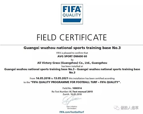 FIFA场地 FIFA场地