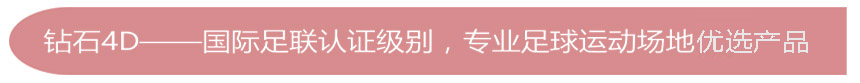 4D钻石