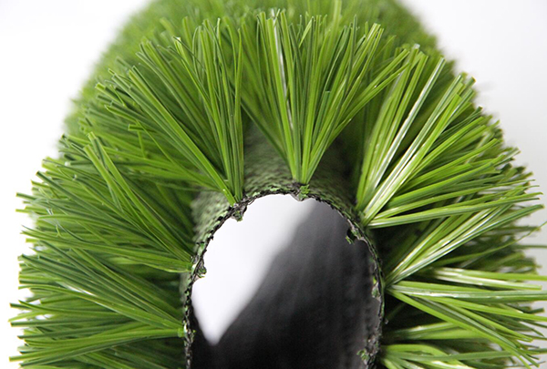 草丝 草丝