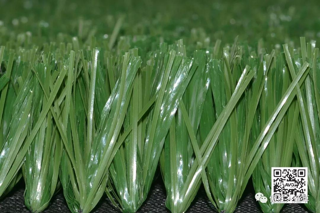 艾格特 艾格特