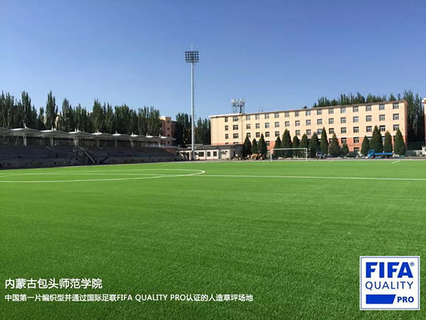 编织草案例 编织草案例