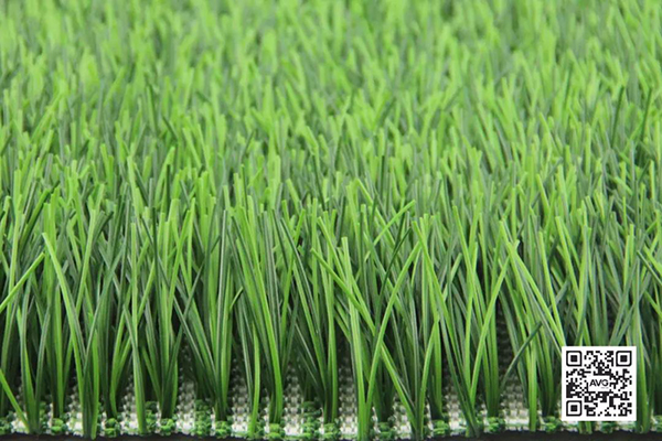 编织草 编织草
