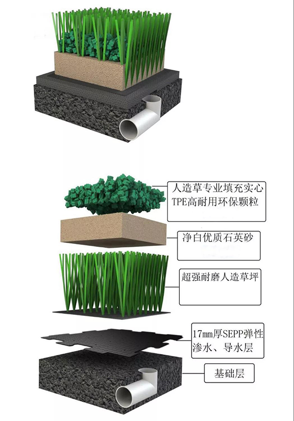 钻石草