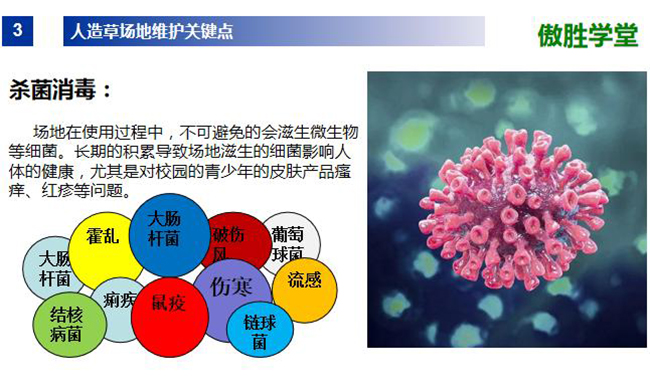 人造草知识2