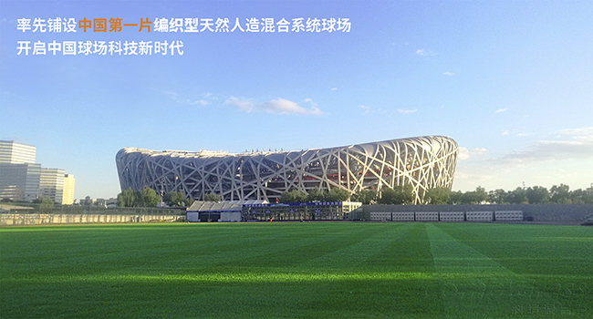 培训课件3 培训课件3