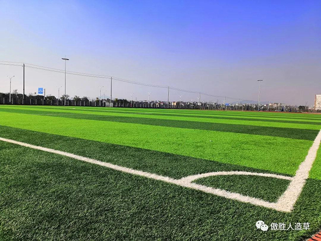 人造草坪场地 人造草坪场地