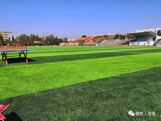人造草坪场地 人造草坪场地