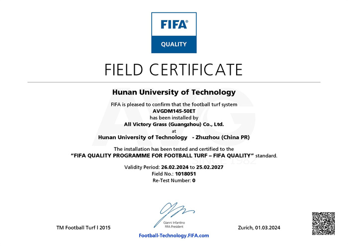 湖南工业大学FIFA证书.jpg 湖南工业大学FIFA证书.jpg